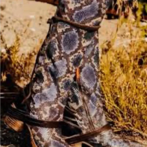 Freebird coal boots Snakeskin Knee-High Boots - Picture 3 of 3